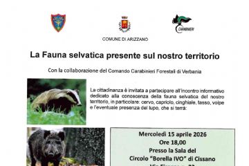 Volantino con riportato testo descrizione e foto tasso, foto cinghiale e foto capriolo