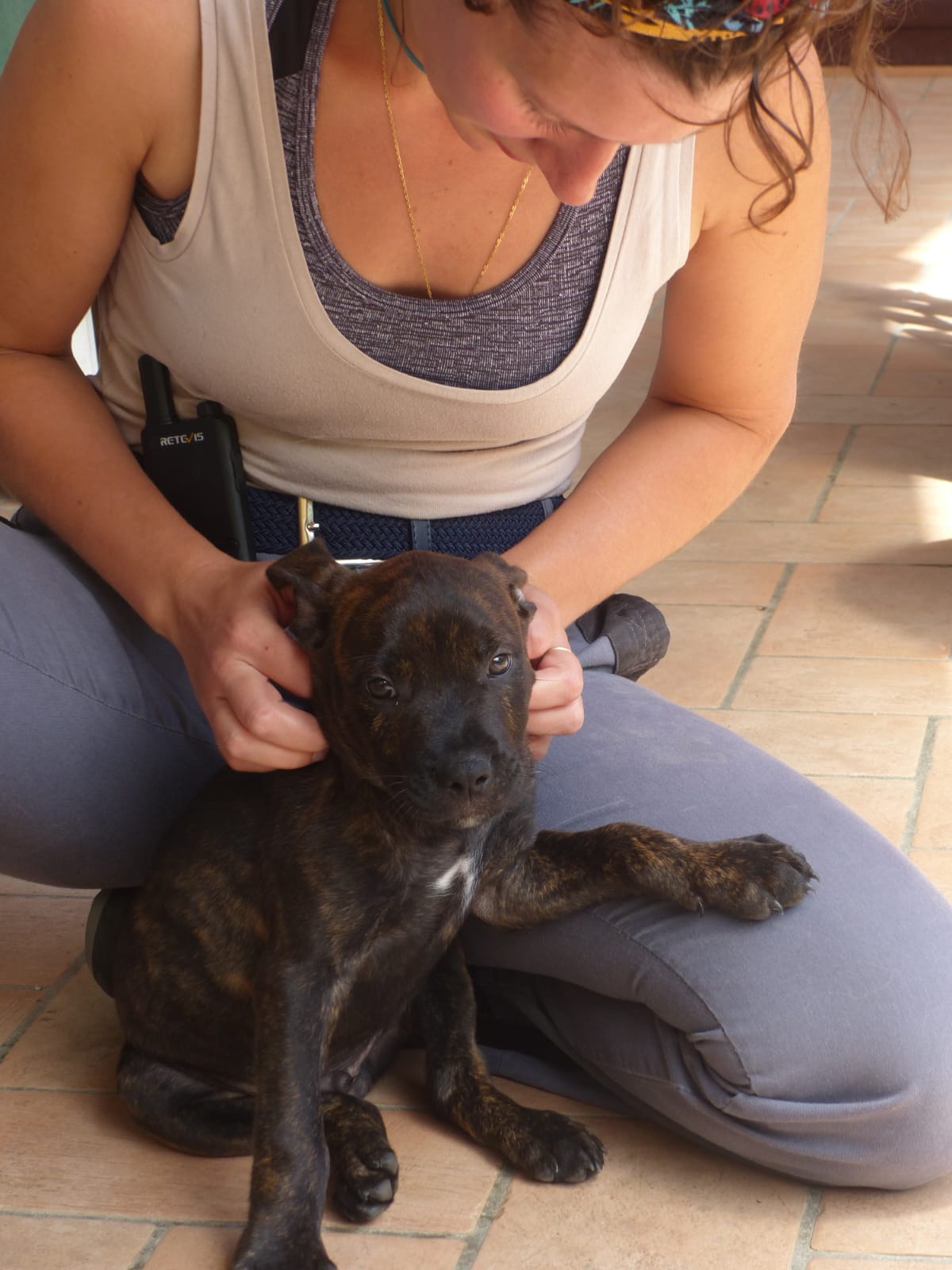 Cucciolo che si fa fare coccole